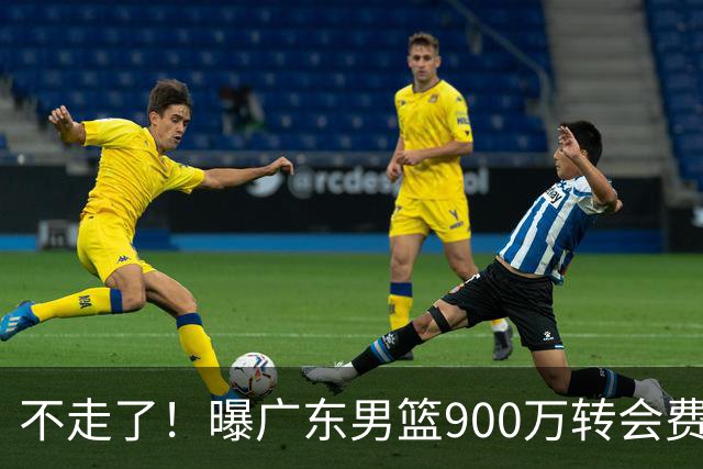 不走了！曝广东男篮900万转会费签下昔日状元内线，杜锋拒绝摆烂