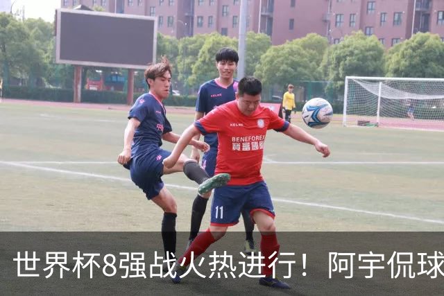 世界杯8强战火热进行！阿宇侃球5连红近12中10领衔