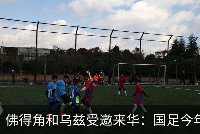 佛得角和乌兹受邀来华：国足今年至少与3支世界杯球队交锋！