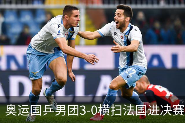 奥运国乒男团3-0横扫法国进决赛 将与瑞典争冠军