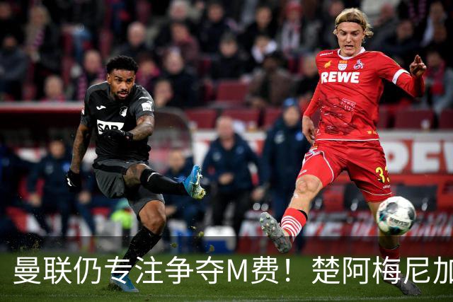 曼联仍专注争夺M费！楚阿梅尼加盟需满足两条件，对恩梅查态度曝光