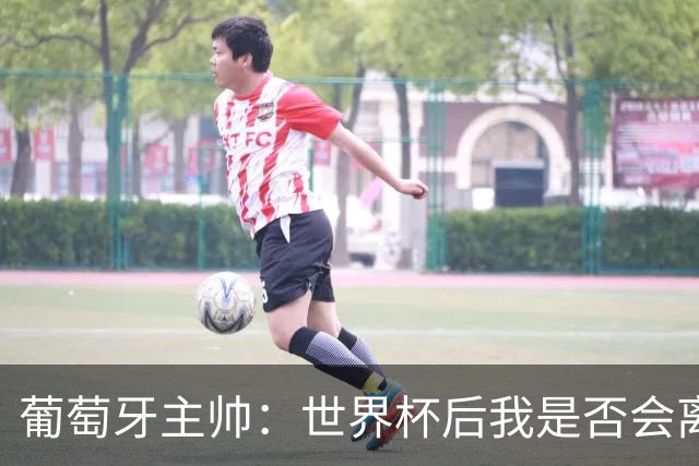 葡萄牙主帅：世界杯后我是否会离任？现在重要的是专注于世界杯