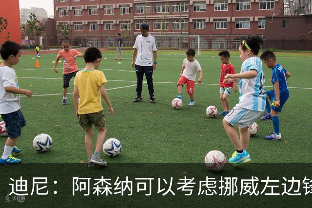 迪尼：阿森纳可以考虑挪威左边锋努萨，他能进球能助攻速度还很快