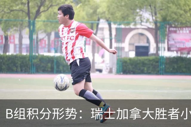 B组积分形势：瑞士加拿大胜者小组第一 平局保携手出线